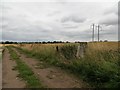 Trig point beside a farm track at Mains of Pitforthie in DD9 7PE