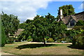 Garden by the house, Great Chalfield Manor in SN12 8NL