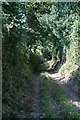Byway north of Purcombe Farm House in DT6 5FT