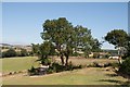 Looking towards Patley Wood Farm from bridleway in DT6 5RT
