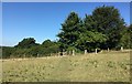 Footpath approaching a Stile in GU27 3DX