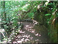 Letham Park woodland walkway in KY8 5TL
