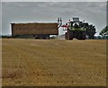 Harvest time at Hagg Farm in Dover Beck Ward