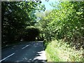 Entering woodland along Bunny Lane in TN3 9HB