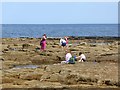 The perennial fascination of tidal rock pools in NE64 6PD