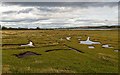 Salt Marsh Alness Point in IV17 0XB