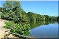 Lakeside at the Nature Discovery Centre in RG18 3BH