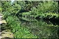 Kennet and Avon Canal south of Thatcham in RG19 3YS