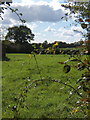 Glimpse through hedge at start of footpath, Brundish in Brundish
