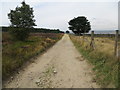 Ramsden Road (track) in HD9 2SD