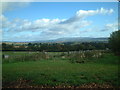East towards Clee Hills from Rare Poultry Collection in SY7 9BL