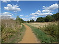 Path on Philpot's Farm Open Space in UB7 8BF