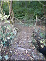 Footbridge Entrance to Widdowson Spring Wood in S42 6SP