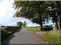 Loads Road View in S42 7HW