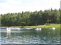 Wakeboarding at Foxlake in EH42 1SX