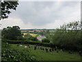 Cemetery at Sellack and the River Wye in HR9 6QP