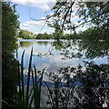 Shard End Lake, Shard End, east Birmingham in B34 7PD