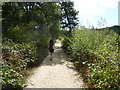 On part of the Solent Way near Beaulieu, Hampshire in SO42 7YF