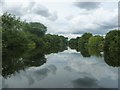 The River Ure, looking upstream [locally west] in HG4 5AW
