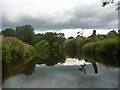 The northern confluence of Westwick Cut and the River Ure in HG4 5AE