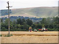 Gathering the harvest in the shadow of White Horse Hill in SN7 7TZ
