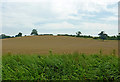 Farmland north-west of Elkington in Northamptonshire in NN6 6HG