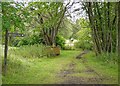 Path to Blairdhu and Spital Wood in IV6 7RL