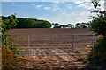 Mid Devon : Ploughed Field in EX17 4RT