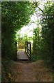 Footbridge and footpath, Shillbrook Wood near Bampton, Oxon in OX18 2EW