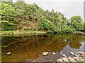 Pool above the weir on the River Averon or Alness in IV17 0XB