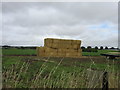 Bales near Craigmill in DD7 6JQ