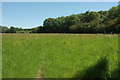 Meadow, Ripon Loop Nature Reserve in HG4 5XH