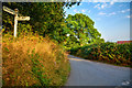 Mid Devon : Cross Hill Cross in EX17 4BY