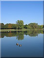 Sailing Lake at Fairlands Valley Park in SG2 0QQ