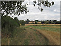 Public Footpath along Field Boundary, Writtle in CM1 3RZ