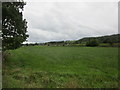 Grass field at Beattock in DG10 9FD