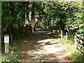 Bridleway into Oaker's Wood, near Briantspuddle in DT2 8QZ