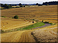View south towards Froxfield, Wiltshire in SN8 3LE