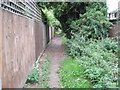 Path between the backs of houses in Alton in Alton Amery Ward