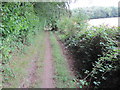 Bridleway by Weston Common in GU34 5SY
