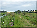 Towpath, North Walsham and Dilham Canal in NR28 9SJ