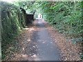 St Swithun's Way in Alton in GU34 2JF