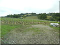 Vineyard at Neuadd-lwyd in SA48 7RF