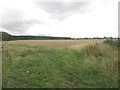 Arable field to the north of New Hartley in NE25 0SF