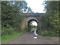 Railway bridge west of Lysdon Farm in NE25 0SF