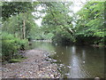The River Devon below Vicar's Bridge in FK14 7LR
