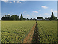 Footpath to Bell Farm Industrial Park in SG8 8ND