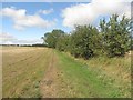 Field edge path south of Blyth in NE24 4HA