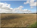 Arable land south of Blyth in NE24 4HA