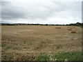 Recently harvested field off Leam Lane, Gateshead in NE10 8RR